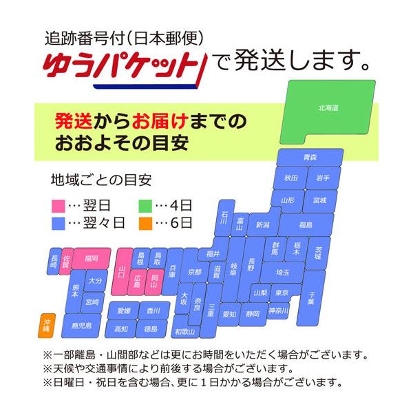 あし鉄 靴下 選べる ５足 セット 列車 電車 新幹線 特急 鉄道 イラスト 男の子 子供用 幼児 キッズ 小学生 くつ下 はやぶさ こまち さくら 500 Buyee 日本代购平台 产品购物网站大全 Buyee一站式代购 Bot Online