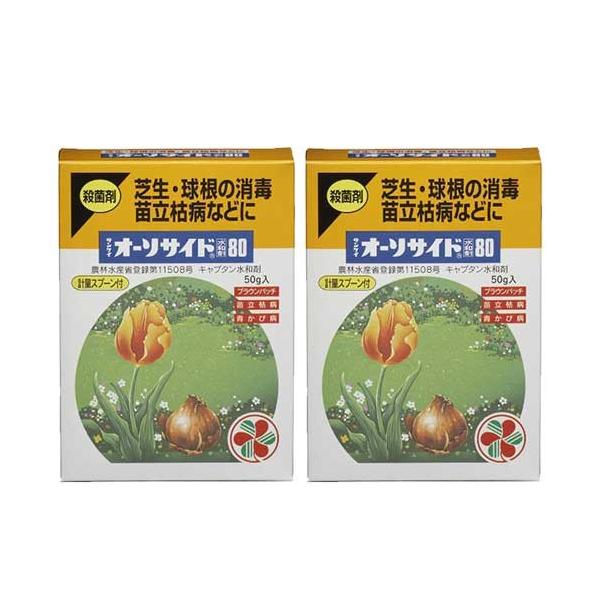 住友化学園芸 サンケイオーソサイド水和剤80 50g 2個 Diy 自分で出来る害虫駆除 通販 Yahoo ショッピング