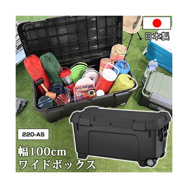 [{bNX O 100cm ^ Rei{bNX LX^[ Lv h X^bLO   ԍ yg ב {bNX 220-A5