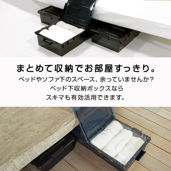 2個セット特価) ベッド下収納ケース キャスター付き 薄型 高さ16.5cm