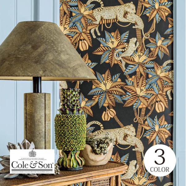 kabecolle_tecs1193012