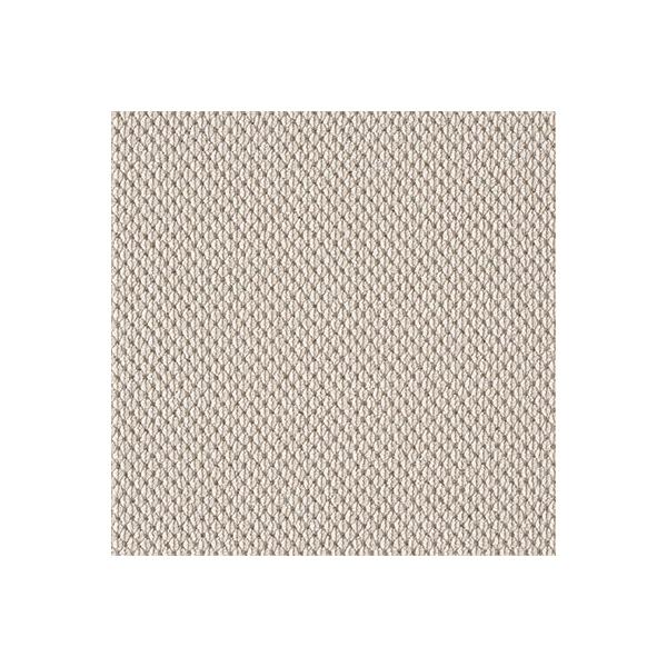 【なくなり次第終了】メーカー廃番品のため大特価！ファブリックフロア タイルカーペットアタック1000 デュオツイル【AK1001】■生産国：日本■ブランド名：東リ / TOLI■サイズ：40×40cm＜ご注意＞■1色につき、10枚単位のご購...