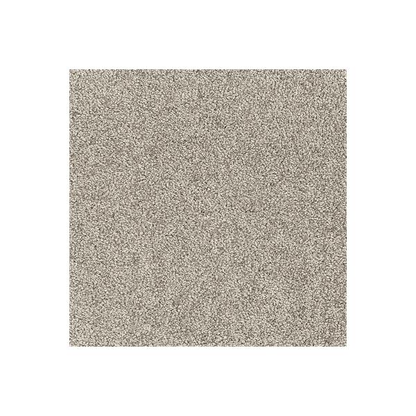 【なくなり次第終了】メーカー廃番品のため大特価！ファブリックフロア タイルカーペットアタック550 ノマギー【AK5509】■生産国：日本■ブランド名：東リ / TOLI■サイズ：40×40cm＜ご注意＞■1色につき、10枚単位のご購入とな...