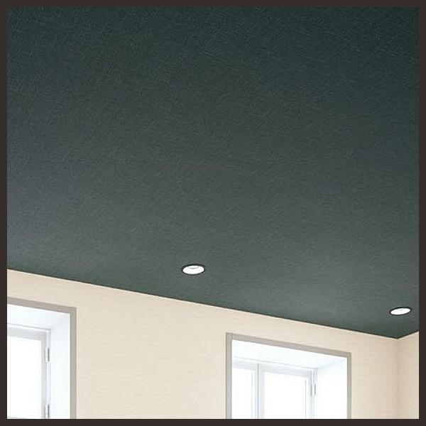 壁紙 のりなし クロス 国産壁紙 天井 防かび サンゲツ Fe 1294 Diyリフォームのお店 かべがみ道場 通販 Paypayモール