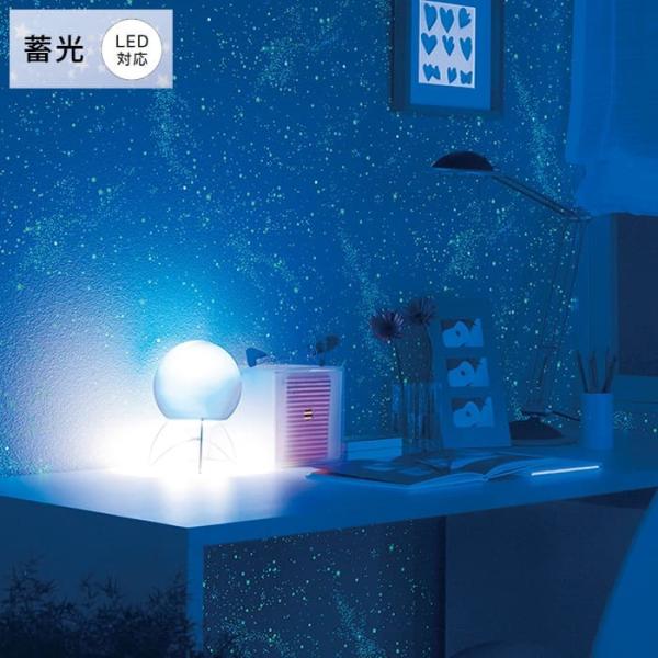 ǎ ̂t NX Yǎ q  X^[  ~ ~  LEDΉ V  OZ[ TQc FE-74432
