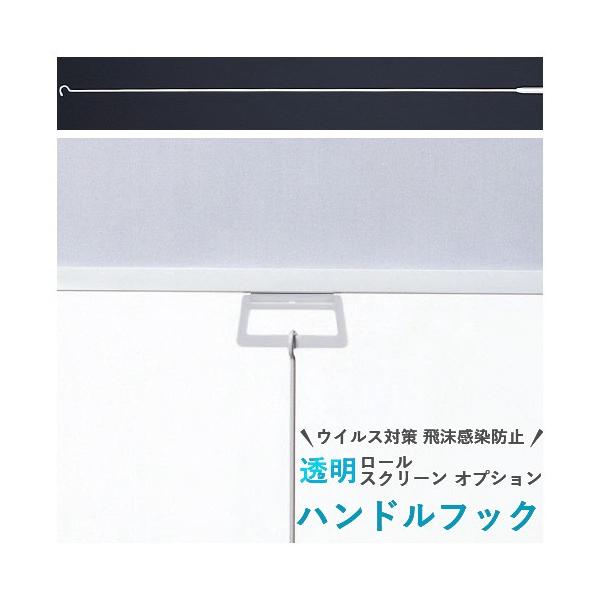 タチカワブラインド　ロールスクリーン FS-RSPケイ 120×200cm 透明 タチカワブラインド 【最大☆10%オフクーポン】 透明シート 透明