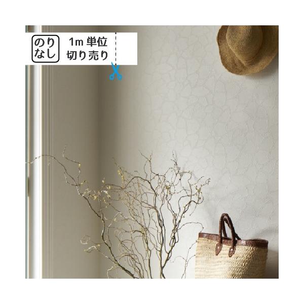 ǎ NX ̂Ȃ gL pCu TWP2206