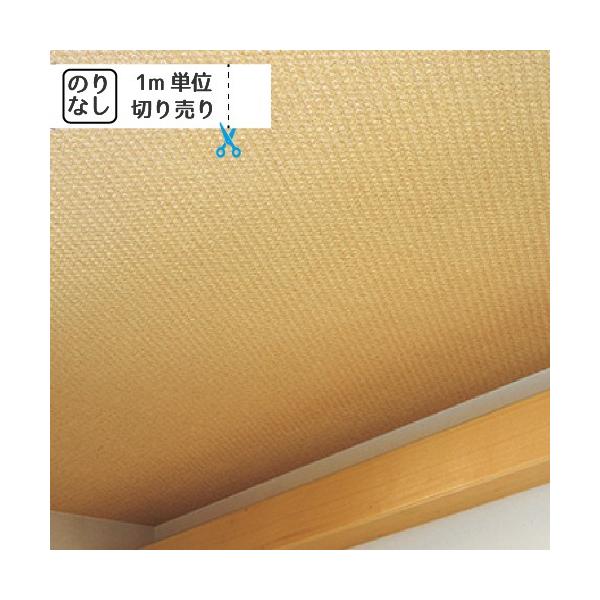 ǎ NX ̂Ȃ gL pCu TWP2294