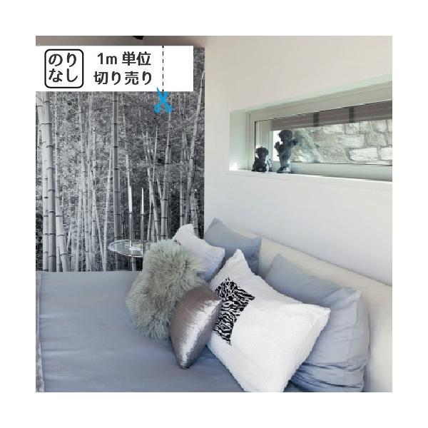 ǎ NX ̂Ȃ gL pCu TWP2366