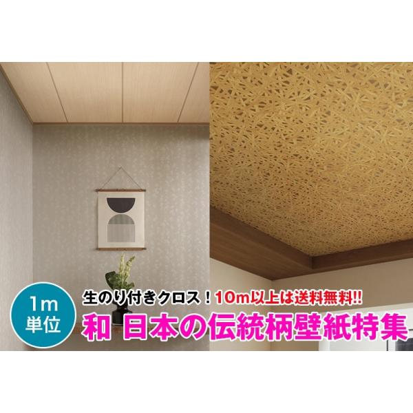 y10mȏőza {̓` ǎ NX ̂tǎ fUCNX TQc FINE yFE74261`FE74265z