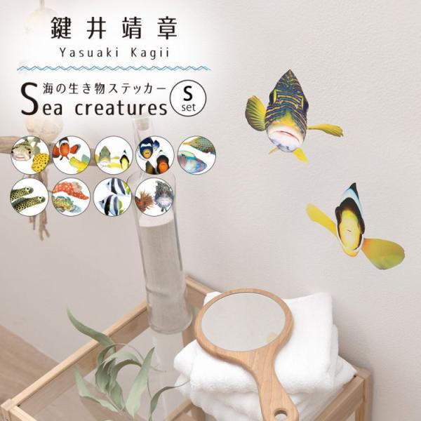水中写真家の鍵井靖章さんが世界中の海で出会った生き物たちが、気軽にお部屋の壁に貼ることができるウォールステッカーになりました。貼ってはがせるシールタイプなので、お風呂やガラス面等、色々なところに貼ってお部屋の中で海中気分を楽しんでいただけま...