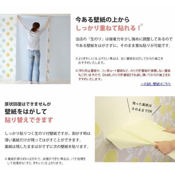 初心者セット Sslp 345 壁紙 住宅設備 7点セット すき間補修材 壁紙 内装 30ｍ 施工道具 Ykwp 4999set5 Slp 345 壁紙屋本舗 のり付き壁紙
