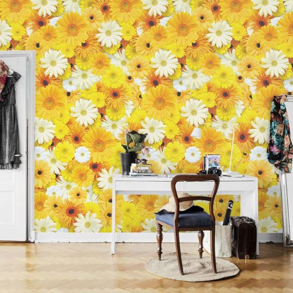 超目玉 壁紙 はがせる 賃貸ok フリース壁紙 貼ってはがせる壁紙 Flower Gerberayellow フラワー ガーベラ イエロー 花柄 ガーベラ 黄色 実写 写真 福袋特集