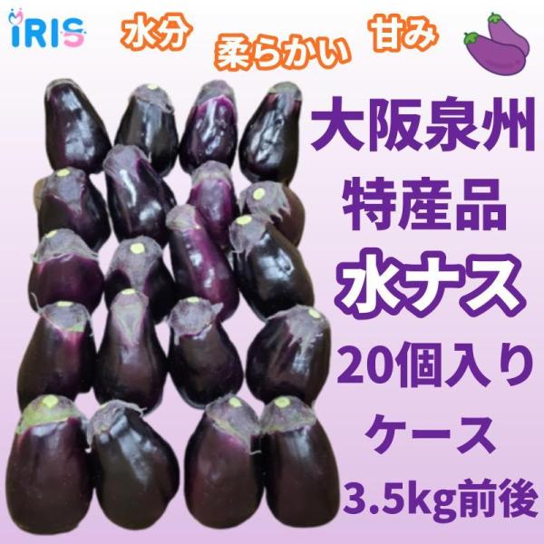 水茄子50個 Amazon.co.jp: 種 野菜たね ナス 泉州水なす 1袋（0.5ml） / 国