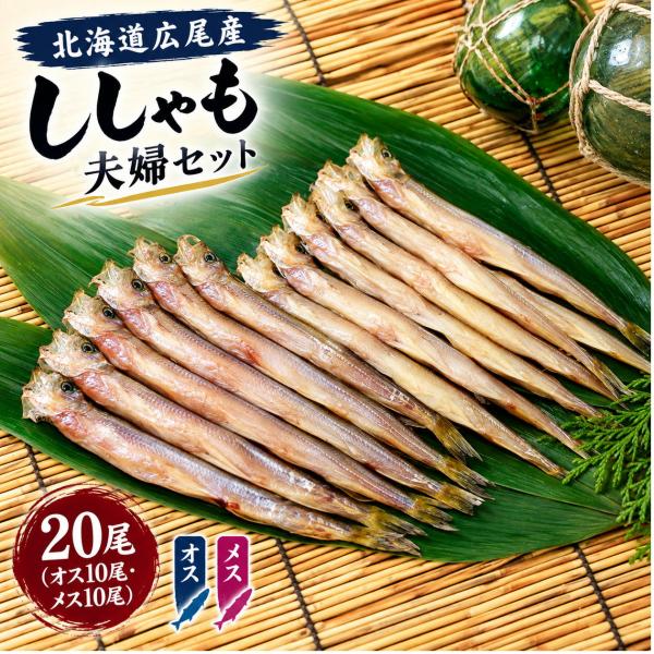 �k�C���L���Y ������� 20�� �v�w�Z�b�g �I�X10�� ���X10�� �{������� �I�X�E���X�H�ה�� �k�C���Y �� �C�Y�� ���� ���Ԃ炬���Y ���i�摜1