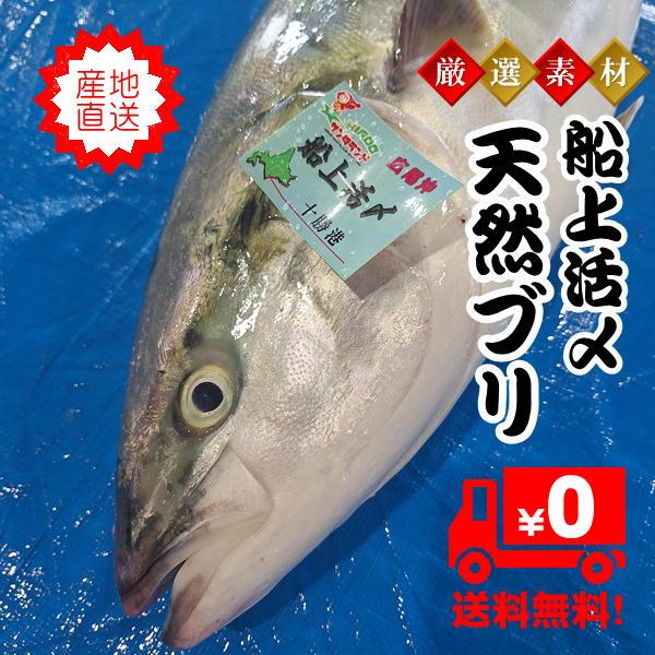 天然活〆ブリ 3.0kg前後 北海道広尾産 ※配送日指定は不可