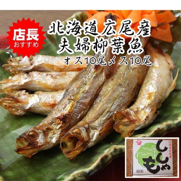 ししゃも 20尾 夫婦セット オス10尾 メス10尾 北海道広尾産