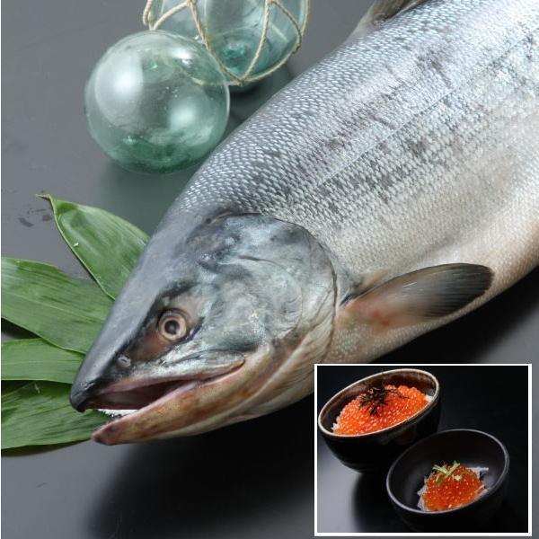 生鮮メス秋鮭 3.0kg前後 北海道 十勝 広尾産 送料無料 ※日付指定不可