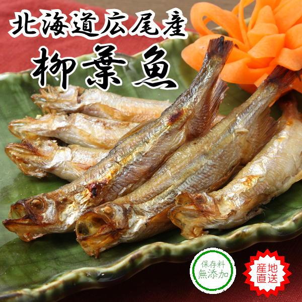 業務用 本ししゃも オスＬサイズ　600尾 一串10尾×60串 北海道広尾産 送料無料 十勝港 シシャモ