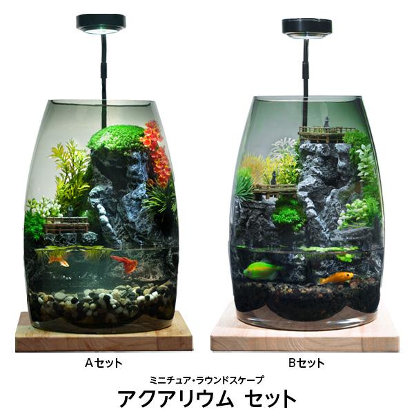 アクアリウム セット ミニチュア ラウンドスケープ ポリカーボネート