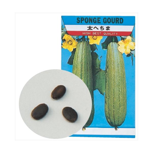 「教材・教育」ジャンルのものは、商品によっては、袋や箱などで包装されていなかったり、商品タグの無い状態で入荷するものがございます。その際は、当店で用意した個包装の袋などに入れて発送させて頂きます。また、サイズの大きい商品など袋に入らないもの...