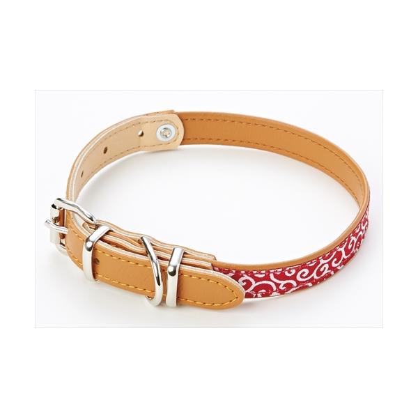 P-4903588575686 yeBI  @ց@r