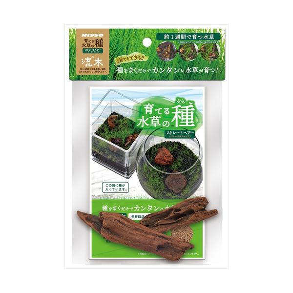 水草の種とコンパクトサイズの流木をセットにした天然素材のアクセサリーです。自分だけの水草レイアウトが楽しめます。
