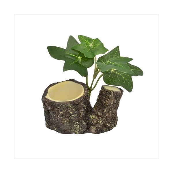 オカヤドカリのミネラルゼリー(16g)用お皿です。