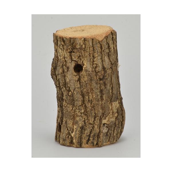 クワガタ飼育、産卵、幼虫飼育にご使用下さい。