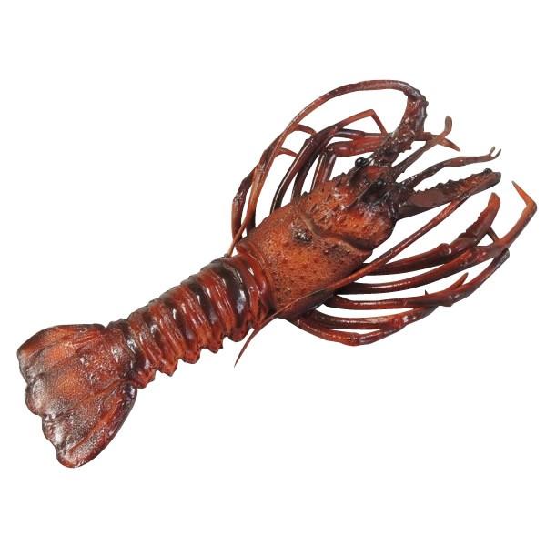 日本職人が作る食品サンプル伊勢海老 大 Ip 381 Buyee Buyee 提供一站式最全面最專業現地yahoo Japan拍賣代bid代拍代購服務bot Online