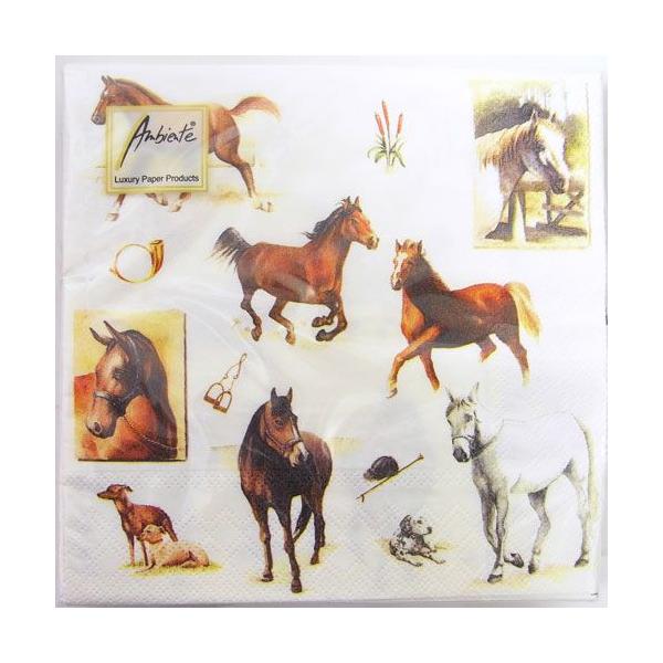 y[p[ivL  z[X@[h[Ambiente]nE܁EE}Ey[p[ivL