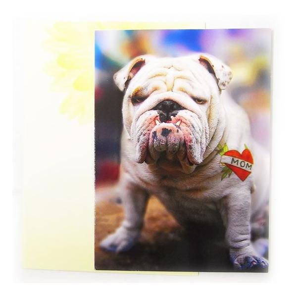 ̓J[hL@THE@uhbO[AVANTI]bZ[WEMtgJ[hEO[eBO