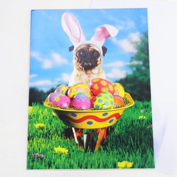 C[X^[J[hL@pO@oj[[AVANTI]ECkEhbObZ[WEMtgJ[hEO[eBO