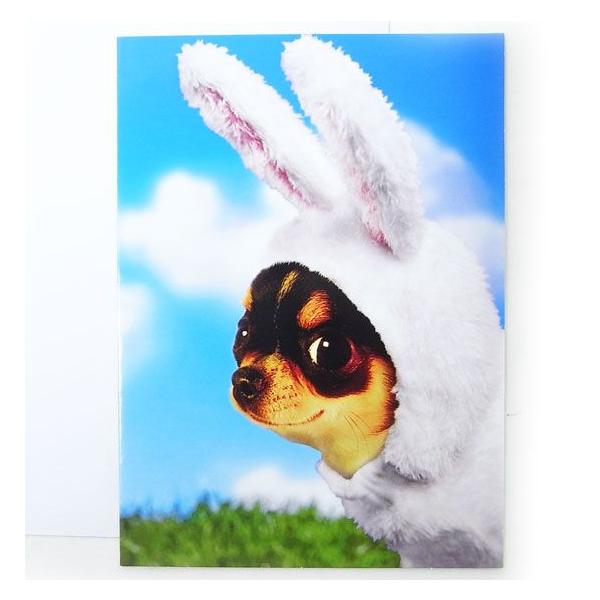 715355C[X^[J[hL@oj[@`[AVANTI]ECkEhbObZ[WEMtgJ[hEO[eBO