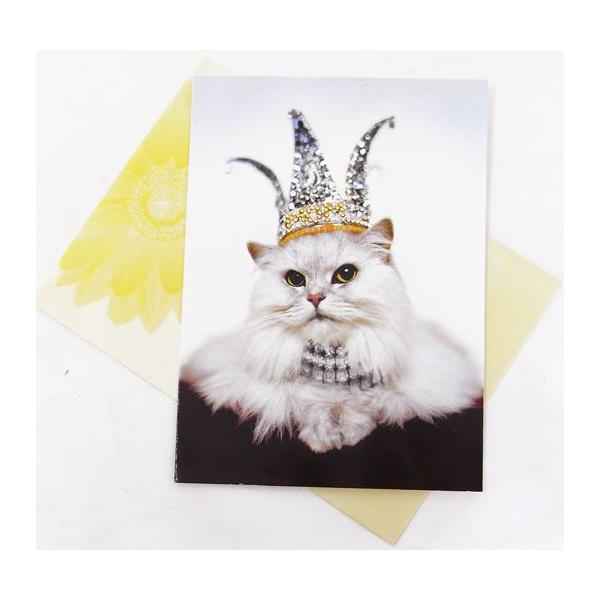 700948̓J[hL@Lbg@NC[[AVANTI]bZ[WEMtgJ[hEO[eBO