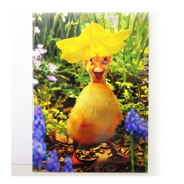 700904C[X^[J[hL@t[nbg@_bN[AVANTI]AqEЂ郁bZ[WEMtgJ[hEO[eBO