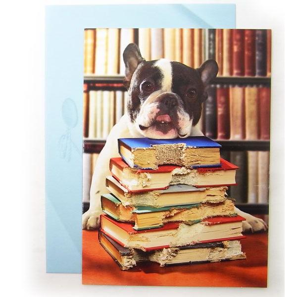 ƏjJ[hL@@u[AVANTI] 715427bZ[WEMtgJ[hEO[eBOt`uhbO