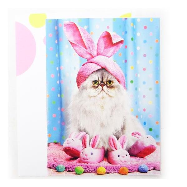 C[X^[J[hL@oX[@Lbg[AVANTI]LElRE˂bZ[WEMtgJ[hEO[eBO