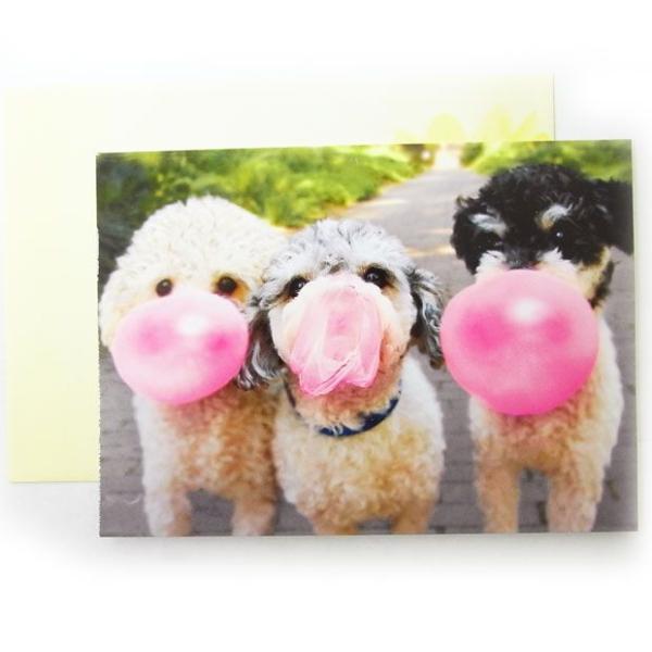 ̓J[hL@o[@v[h[AVANTI]bZ[WEMtgJ[hEO[eBO