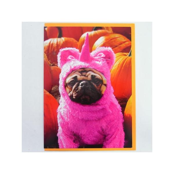 700707@nEBJ[h  sNRX`[pO[AVANTI]pOEEHEHALLOWEENbZ[WEMtgJ[hEO[eBO