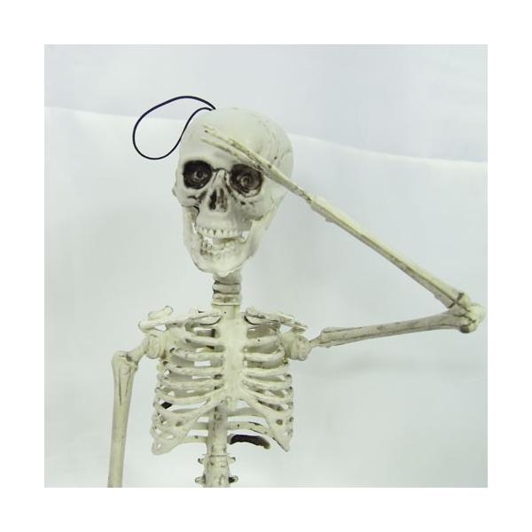 ディスプレイ ガイコツくん骸骨飾り スカル飾り ホラー インスタ映えハロウィン Sns Buyee Buyee 日本の通販商品 オークションの入札サポート 購入サポートサービス