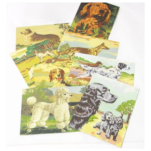 J[hZbg8Zbg@hbOX@[barkology]EʁEhbOEDOGbZ[WEbsOޗO[eBOJ[h