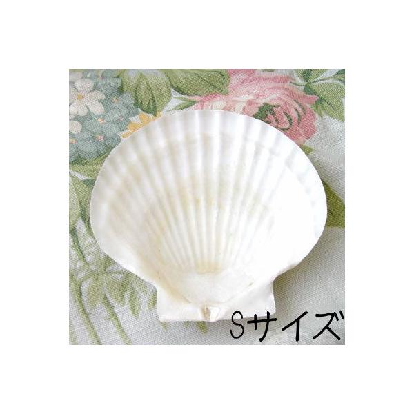 fRp[Wp@VFSTCY[z^eL]fRp[WΌ󂯁E\[vg[