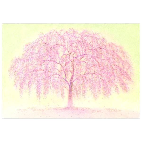 春カード ポップアップカード 富士と桜 P4012sanrio サンリオ カード グリーティングカード 多目的さくらカード 245 2 Kaderia Yahoo店 通販 Yahoo ショッピング