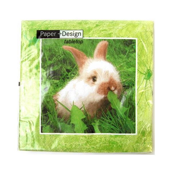 18y[p[ivL[[OK]`TCY@oj[փ10[oaper+cesign][hCc]@ETM@e@rbg