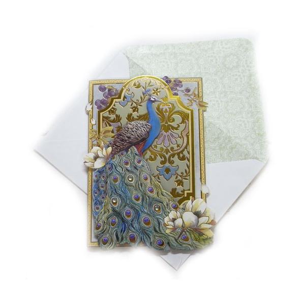 [Punch Studio]O[eBOPUJ[hL@s[RbNK[f p`X^WIbZ[WEMtgJ[hE[YEoEKNE