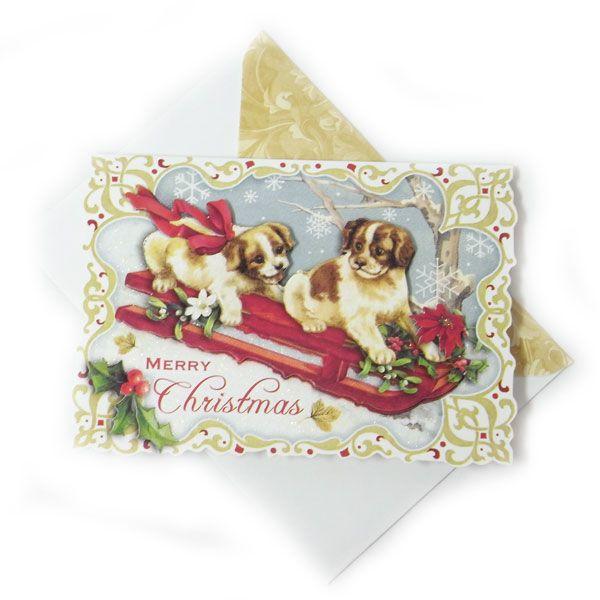 [Punch Studio]nJ[h@XCfBO@ps[NX}X