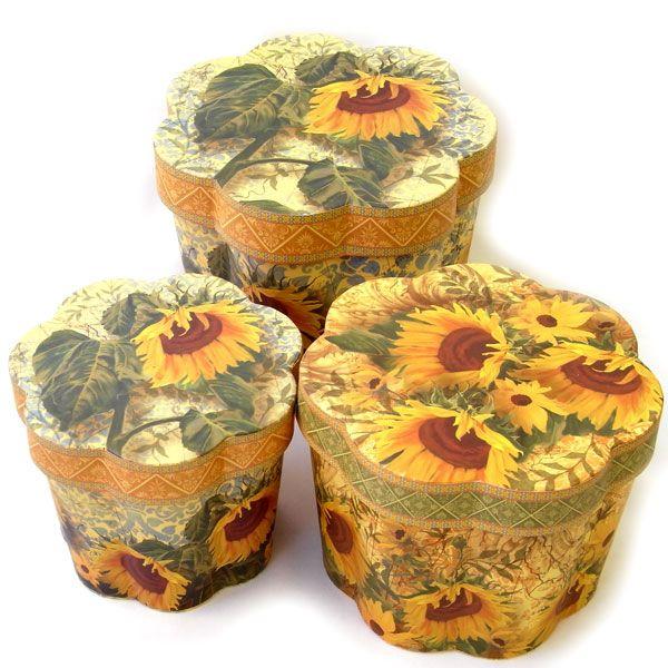 [Punch Studio]@50988N@Ԍ^{bNXZbg@Ђ܂咆3_Zbgq}EbsOEMtg{bNXEo^CBOX