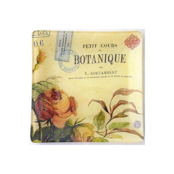 pԏI@݌Ɍ聚eqhmfE@OXg[@{^jbNBotaniqueԕEt[`[t