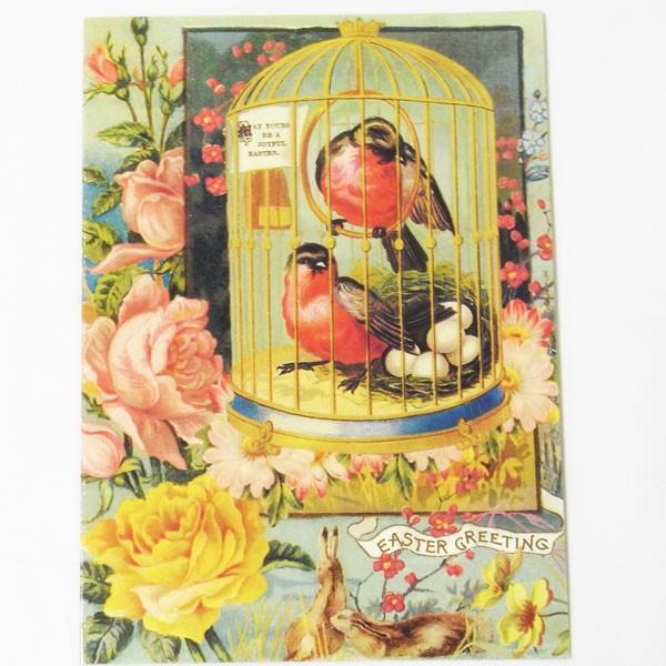 [Punch Studio]C[X^[O[eBOJ[h@Ă̒̒p`X^WIEC[X^[gEo[hE